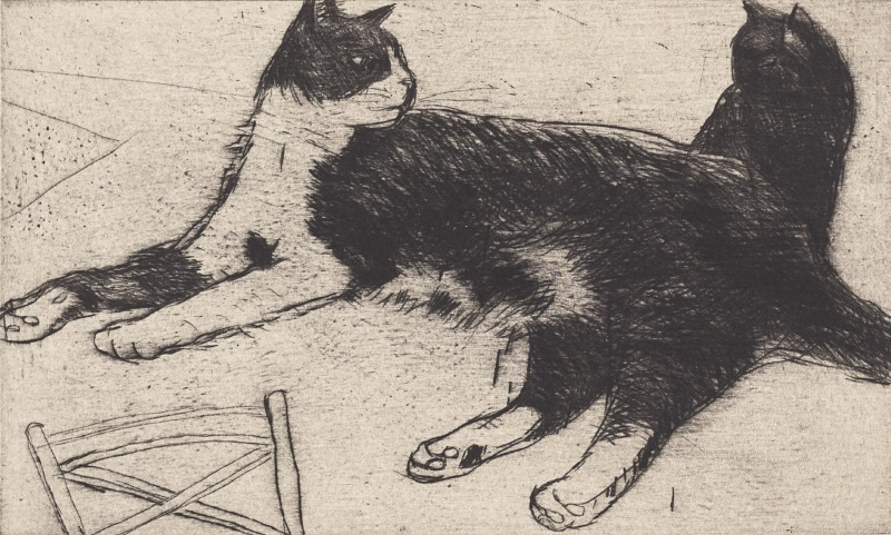 Fred Fred by Dame Elizabeth Blackadder DBE, RWS, RA, RSA (1931 - 2021)