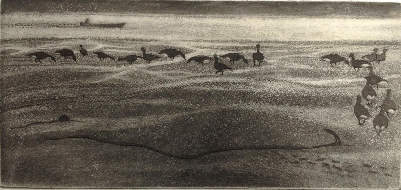 Scavenging Geese Scavenging Geese by Elizabeth Morris
