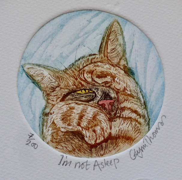 I am not asleep I am not asleep by Glynn Thomas RE (1946)