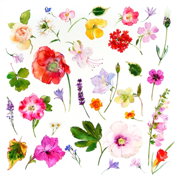 Cottage Garden by Helen Millar