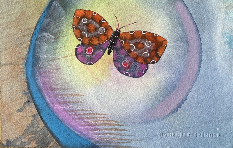 Butterfly Butterfly by Humphrey Spender (1910 - 2005)