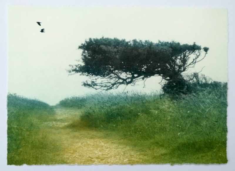 Beach Path Beach Path by Luella Martin