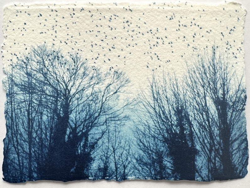 By the Woods By the Woods by Luella Martin