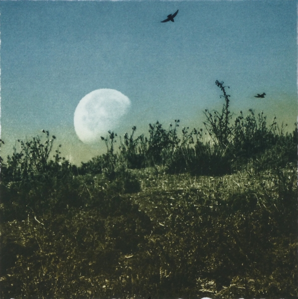 Day Moon Day Moon by Luella Martin