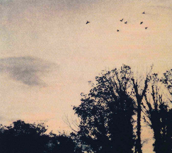 Daybreak Daybreak by Luella Martin