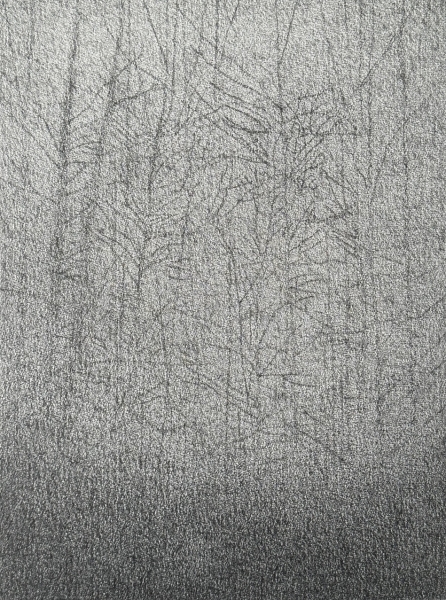 Autumn Morning Autumn Morning by Nick Lumb RCA
