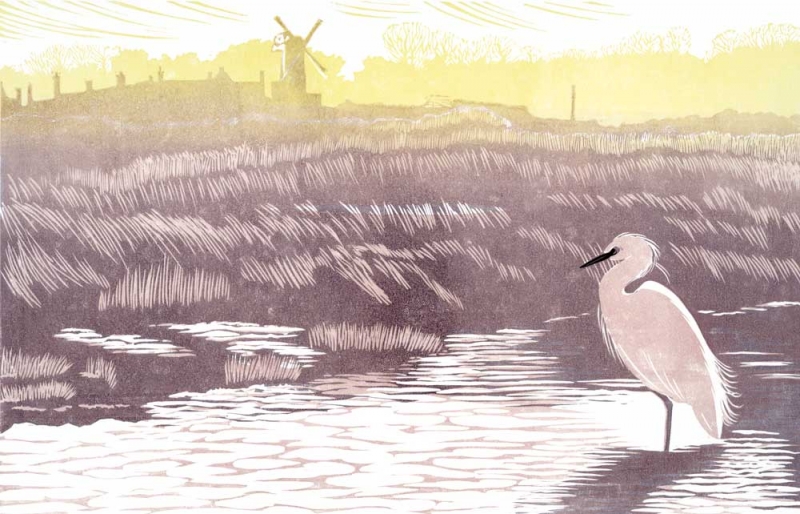 Little Egret, Cley Little Egret, Cley by Niki Bowers