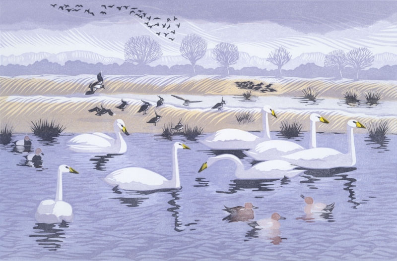 Seven Swans Seven Swans by Niki Bowers