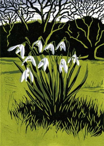 Snowdrops Snowdrops by Niki Bowers