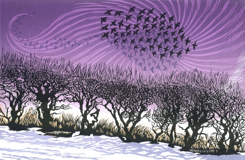 Starlings Rise Starlings Rise by Niki Bowers