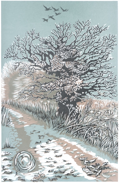 Frosted Oak Frosted Oak by Niki Bowers