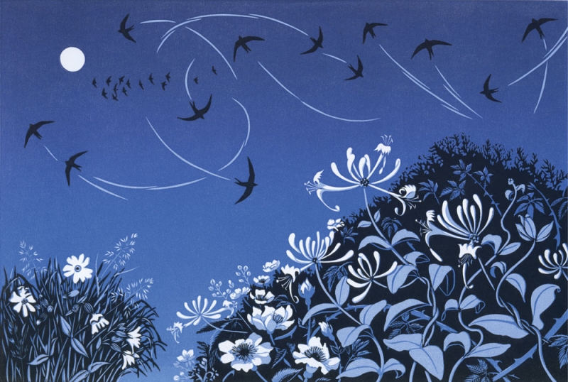 Night Swifts Night Swifts by Niki Bowers