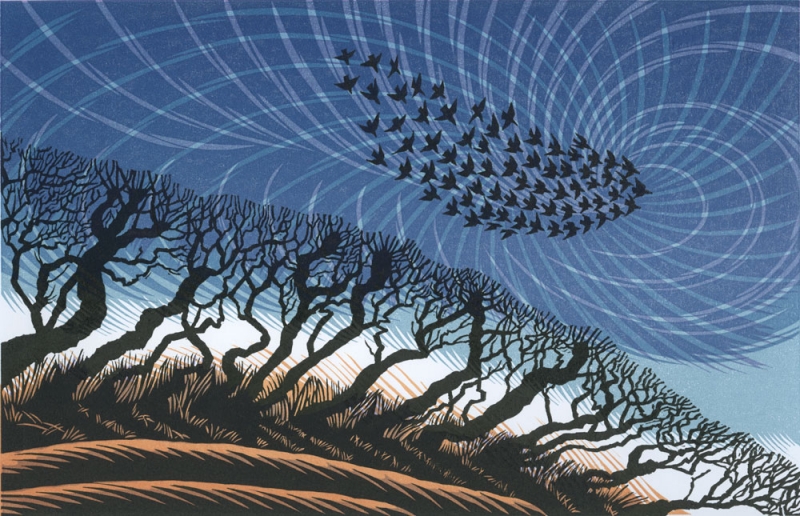 Late Starlings Late Starlings by Niki Bowers