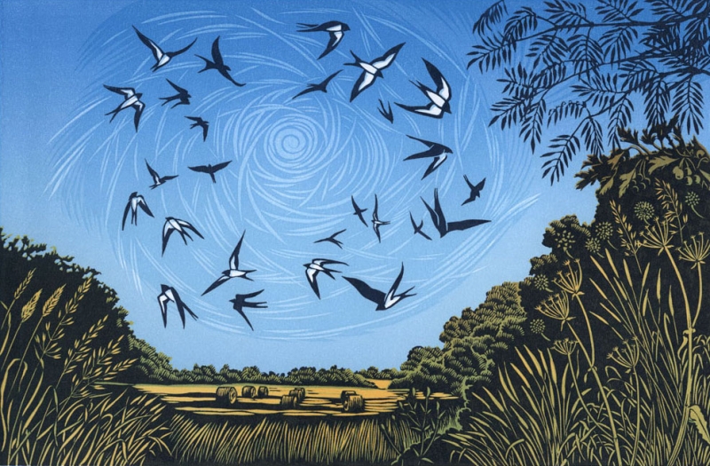 Swallows Gathering Swallows Gathering by Niki Bowers