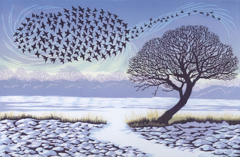 Curved Oak Starlings Curved Oak Starlings by Niki Bowers