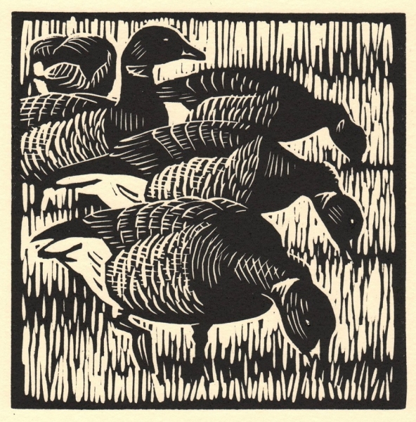 Brent Geese Brent Geese by Richard Allen (tbc)