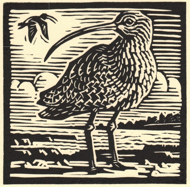 Curlew Curlew by Richard Allen (tbc)