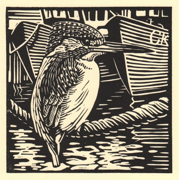 Kingfisher by Richard Allen (tbc)
