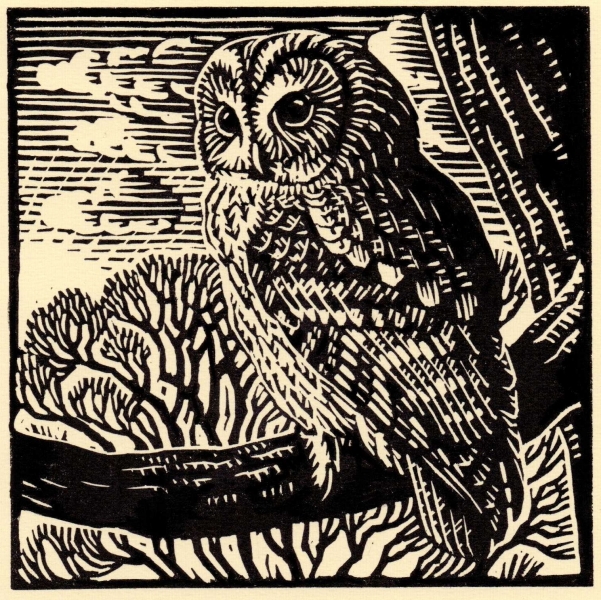 Tawney Owl Tawney Owl by Richard Allen (tbc)