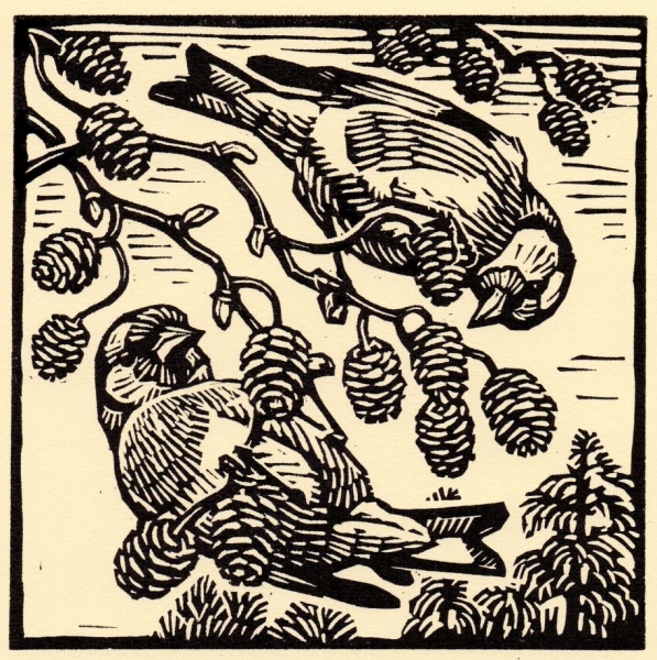 Goldfinch Goldfinch by Richard Allen (tbc)