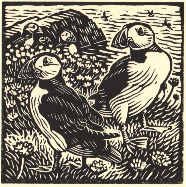 Puffins Puffins by Richard Allen (tbc)
