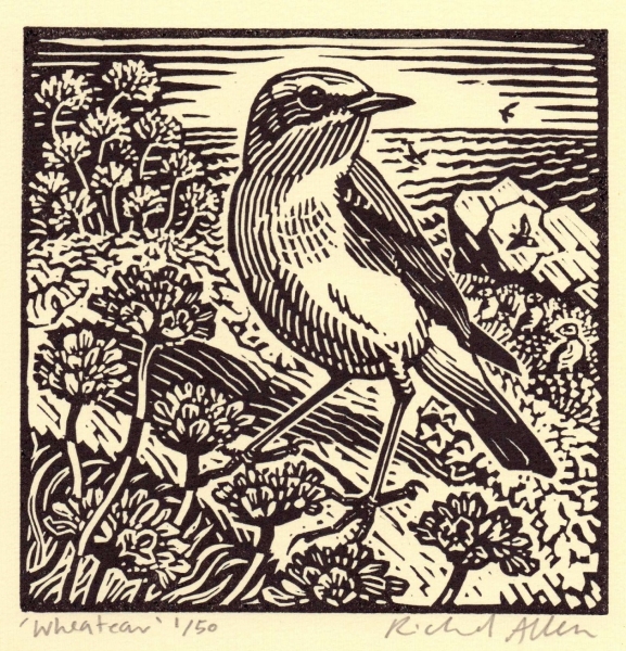 Wheater Wheater by Richard Allen (tbc)