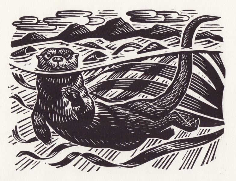Otter in the Kelp Otter in the Kelp by Richard Allen (tbc)