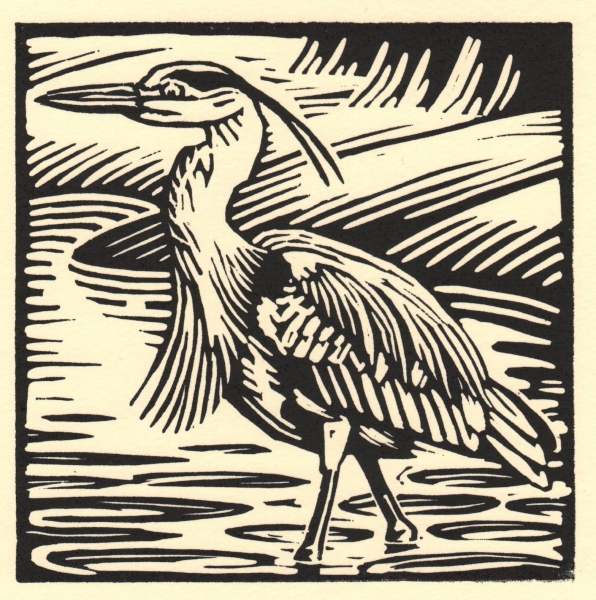 Heron Heron by Richard Allen (tbc)