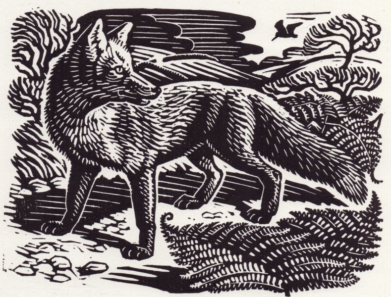 Fox and Woodcock Fox and Woodcock by Richard Allen (tbc)