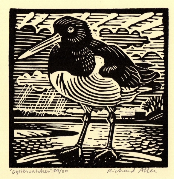 Oyster Catcher Oyster Catcher by Richard Allen (tbc)