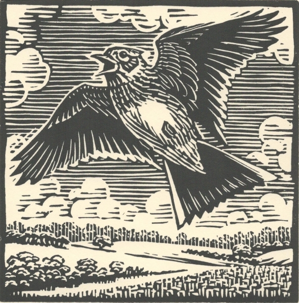 Skylark Skylark by Richard Allen (tbc)
