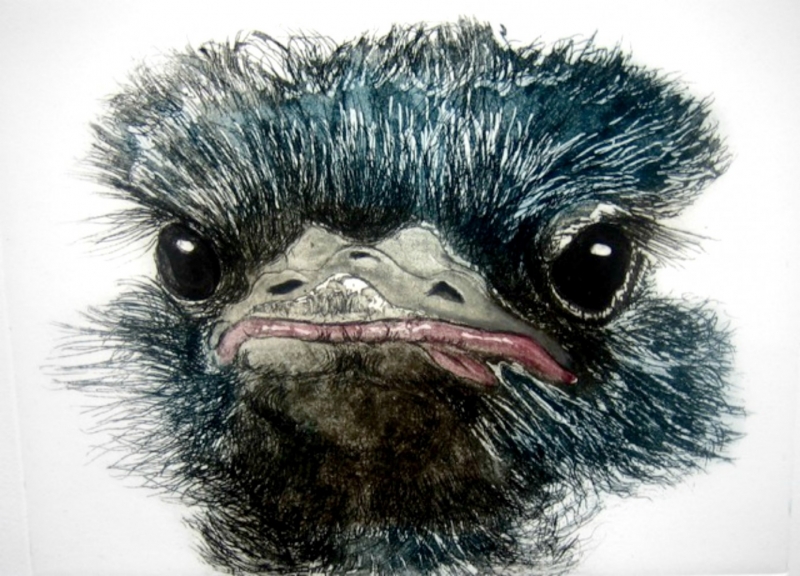 Another Bad Hair Day by Sonia Rollo