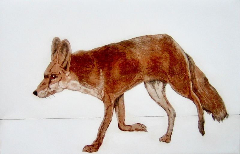 Foxy Fox by Sonia Rollo