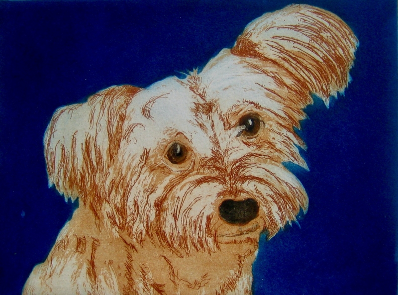 Little Miss Lulu Little Miss Lulu by Sonia Rollo