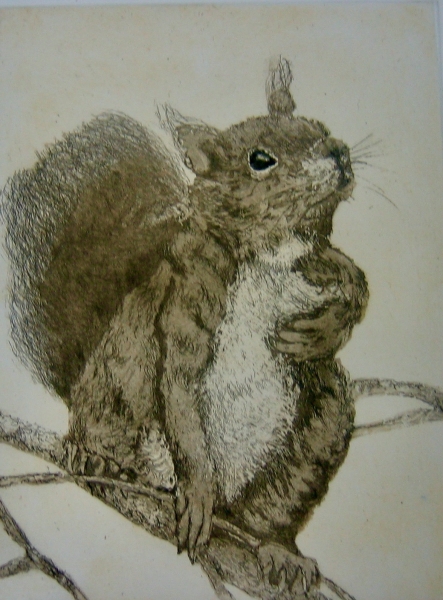 Tufts and Tail Tufts and Tail by Sonia Rollo