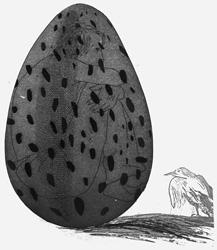 Boy Hidden in an Egg by David Hockney Boy Hidden in an Egg by David Hockney