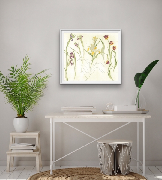 Iries Lilies Tulips Iries Lilies Tulips by Dame Elizabeth Blackadder DBE, RWS, RA, RSA (1931 - 2021)