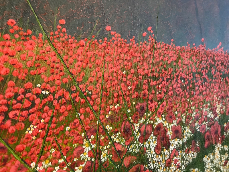 Poppy Field by Chris Wenlock (1947)
