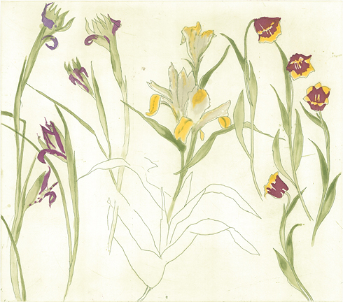 Iries Lilies Tulips by Dame Elizabeth Blackadder  DBE, RWS, RA, RSA (1931 - 2021)