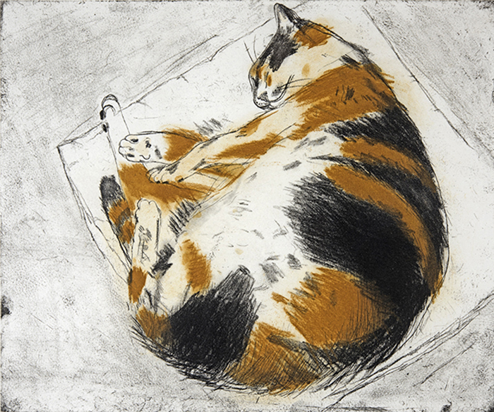 Coco Sleeping Coco Sleeping by Dame Elizabeth Blackadder DBE, RWS, RA, RSA (1931 - 2021)