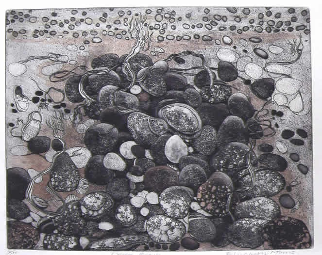Dover Beach Dover Beach by Elizabeth Morris