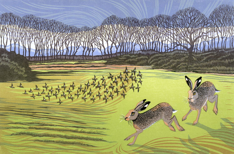 Hares and Fieldfares Hares and Fieldfares by Niki Bowers